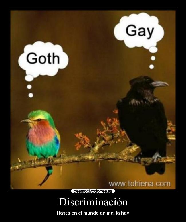Discriminación - 