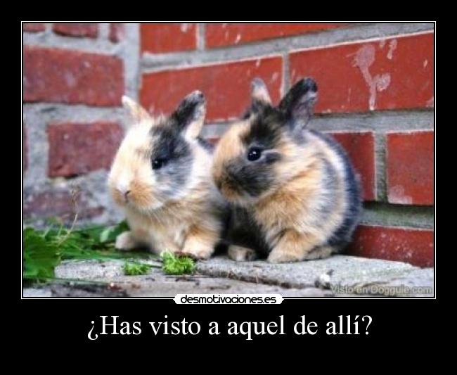 ¿Has visto a aquel de allí? -