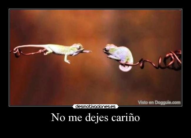 No me dejes cariño -