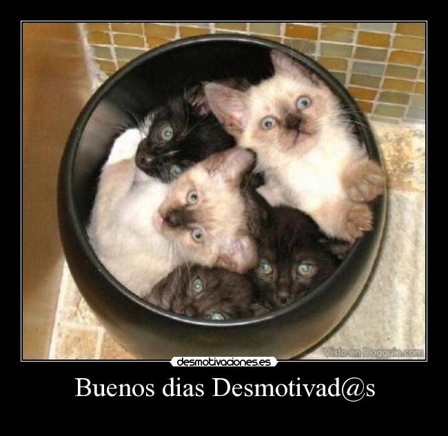 Buenos dias Desmotivad@s -