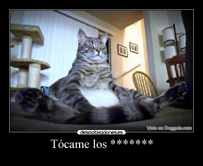 Tócame los ******* - 
