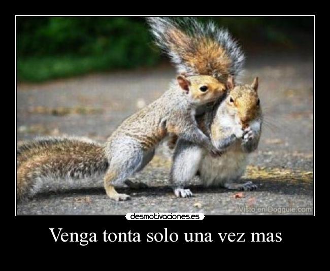 Venga tonta solo una vez mas -