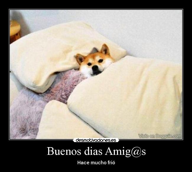 Buenos dias Amig@s -