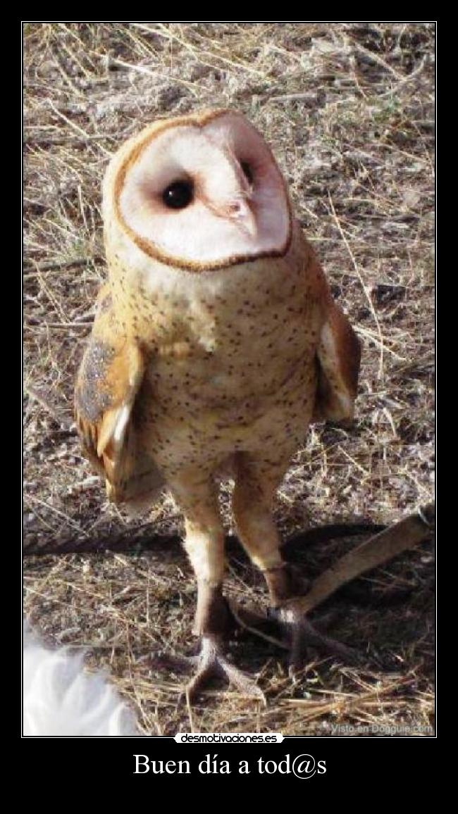 Buen día a tod@s -