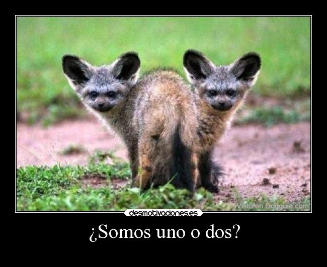 ¿Somos uno o dos? -