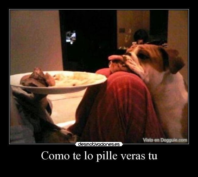 Como te lo pille veras tu -