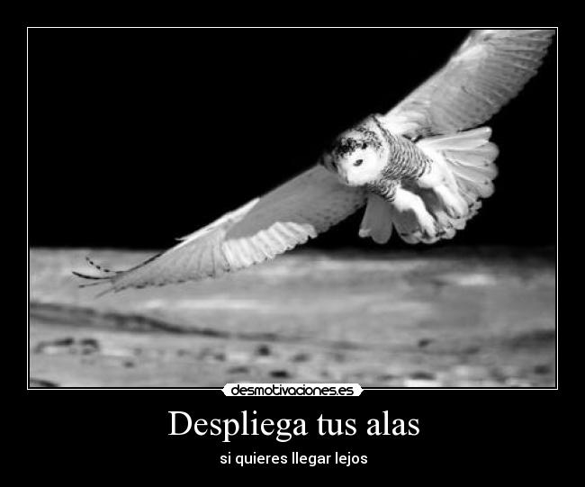 carteles dreadk que piensas desplegar que fueras lechuza desmotivaciones