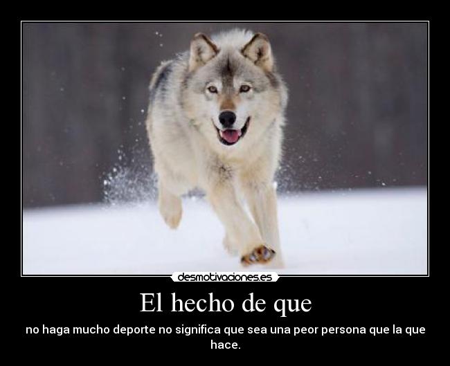 El hecho de que - no haga mucho deporte no significa que sea una peor persona que la que hace.