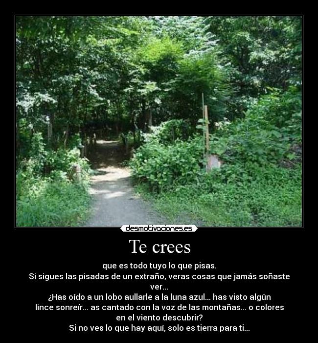 Te crees - 