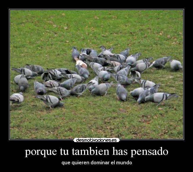 carteles mundo desmotivaciones