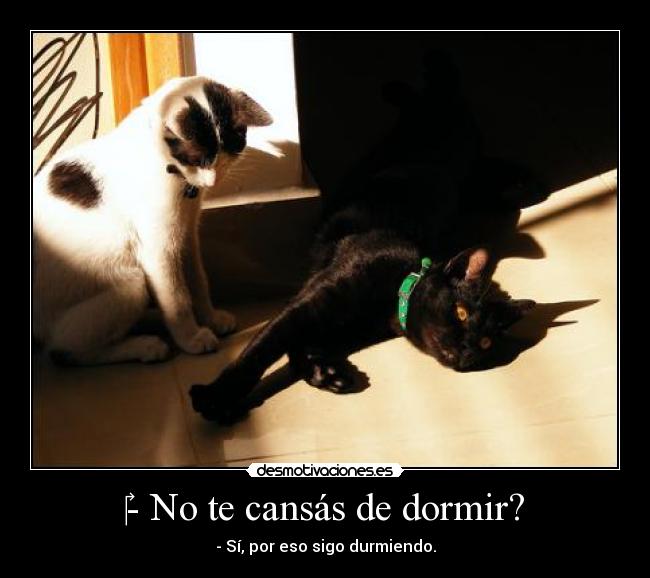 ‎- No te cansás de dormir? - 