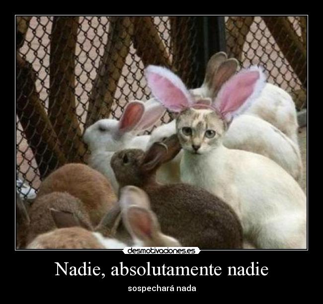 Nadie, absolutamente nadie - 