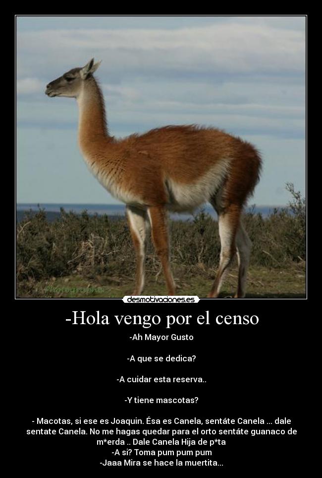 -Hola vengo por el censo -