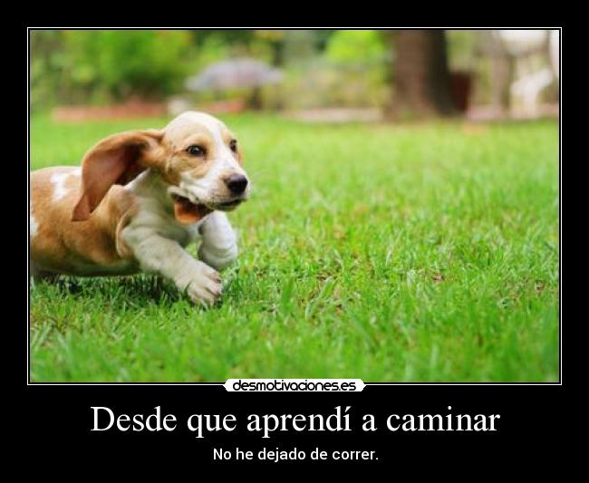 carteles desde que aprendi caminar dejado correr desmotivaciones
