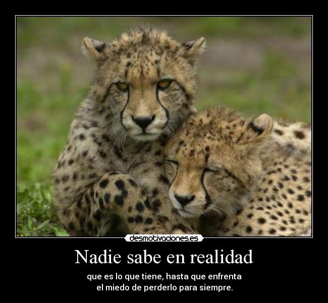 Nadie sabe en realidad - 