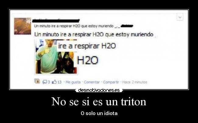 No se si es un triton - 