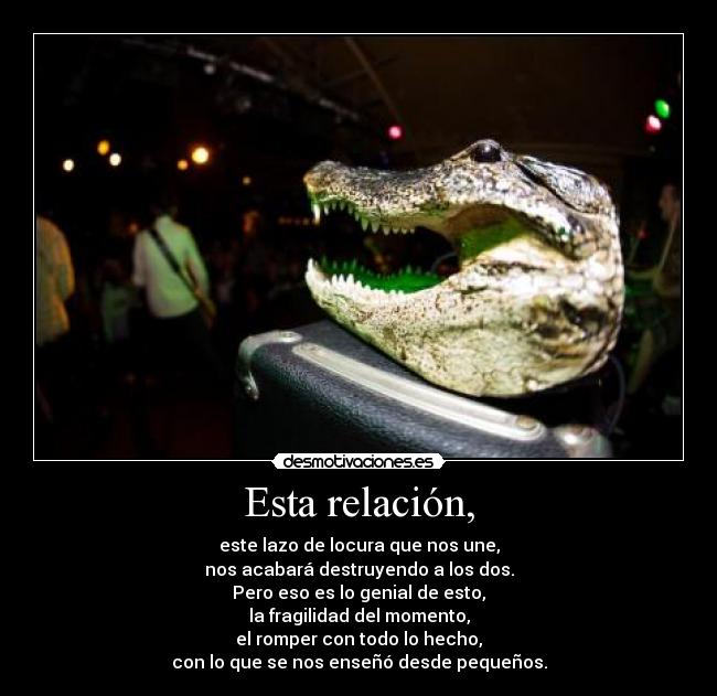 Esta relación, - este lazo de locura que nos une,
nos acabará destruyendo a los dos.
Pero eso es lo genial de esto,
la fragilidad del momento,
el romper con todo lo hecho,
con lo que se nos enseñó desde pequeños.