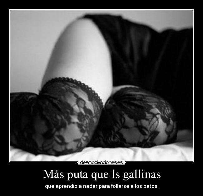 Más puta que ls gallinas - que aprendio a nadar para follarse a los patos.