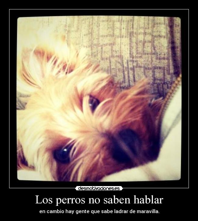 Los perros no saben hablar -