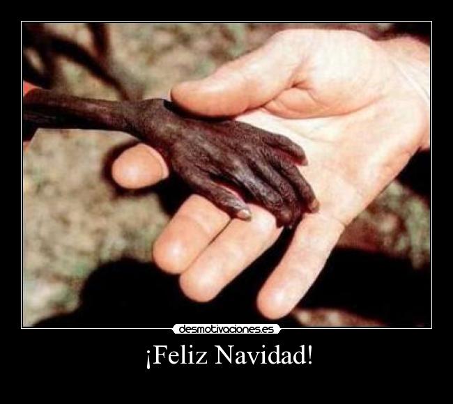 ¡Feliz Navidad! - 