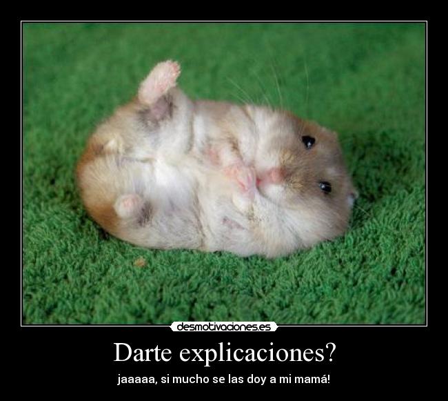 Darte explicaciones? - 
