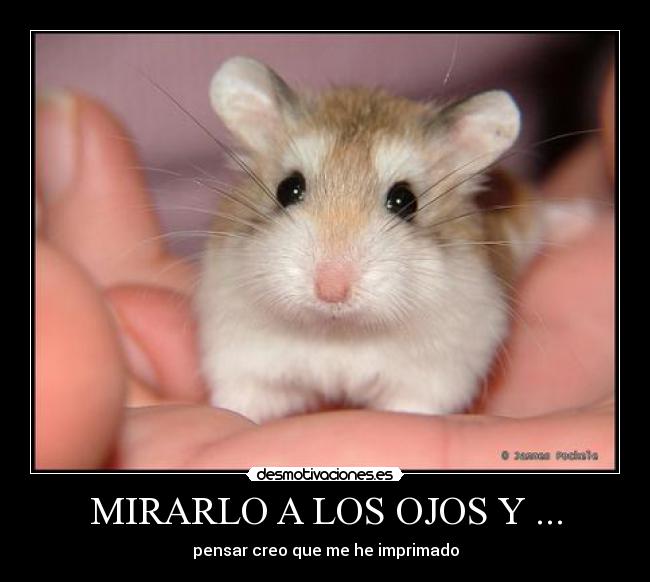 MIRARLO A LOS OJOS Y ... -