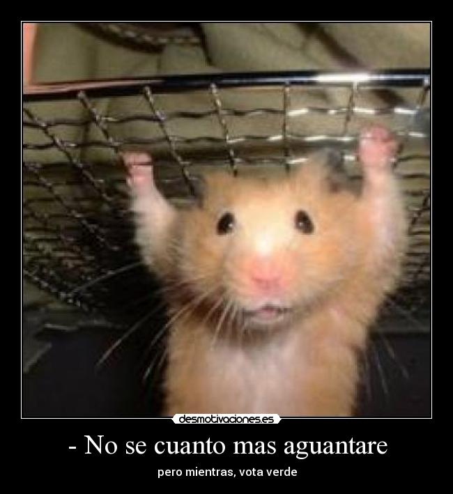 - No se cuanto mas aguantare -