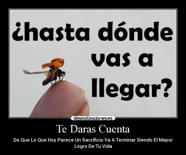 Te Daras Cuenta -