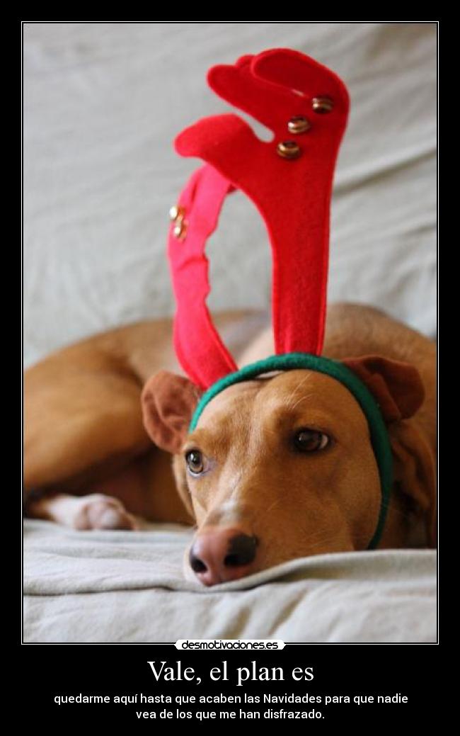 carteles milady desmotivaciones