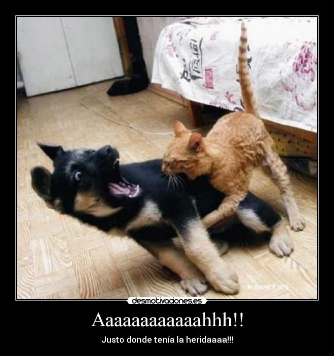 Aaaaaaaaaaaahhh!! -