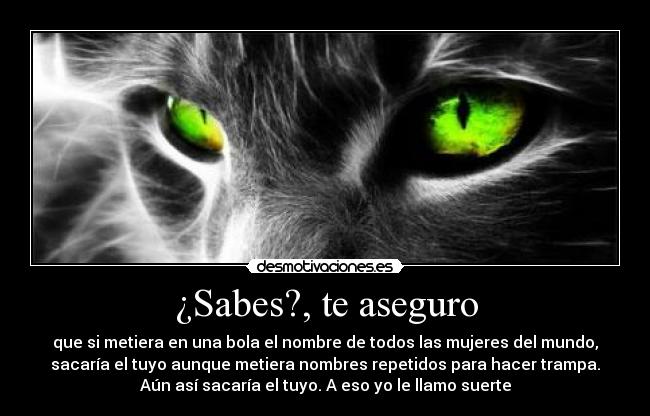 ¿Sabes?, te aseguro -
