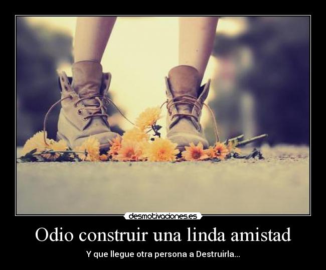 carteles odio amistad amistad desmotivaciones