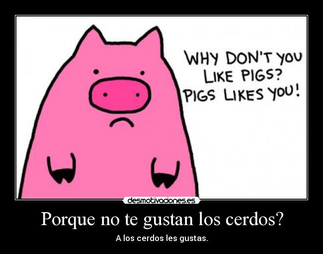 Porque no te gustan los cerdos? - A los cerdos les gustas.