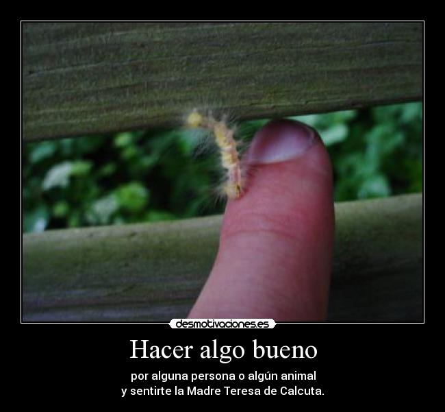 carteles jojojo exagerar llama eso desmotivaciones