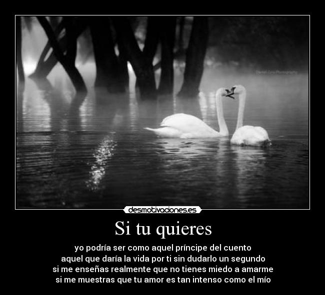 carteles dreadk fiel estilo subiendo carteles blanco negro extranandola pesar todo desmotivaciones