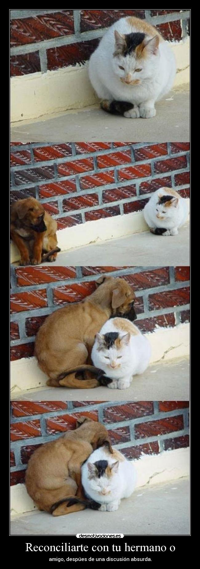 Reconciliarte con tu hermano o -