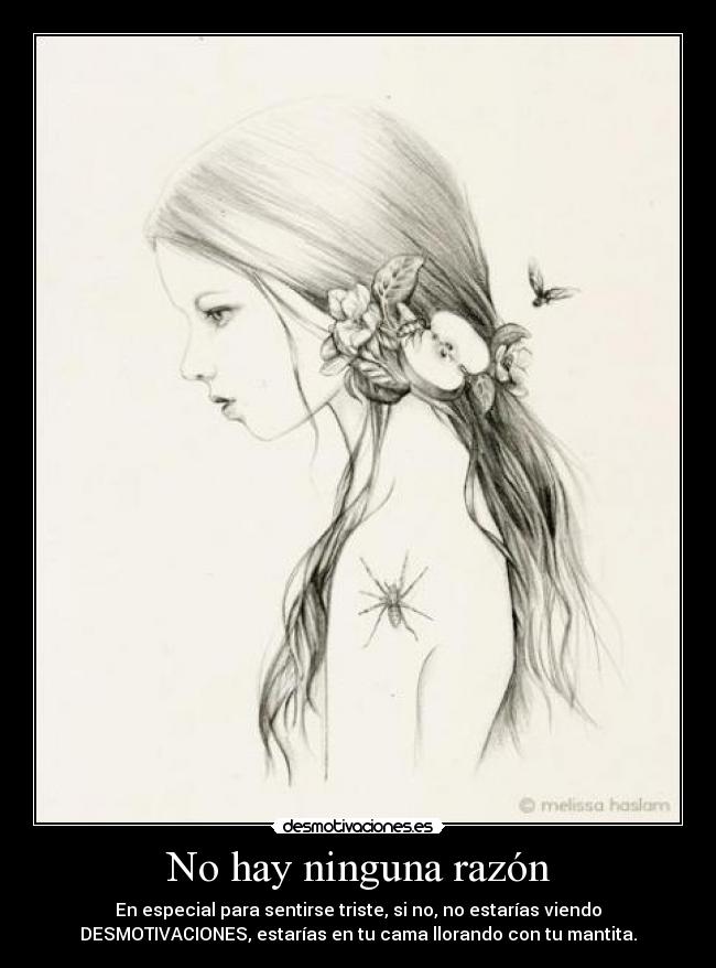 No hay ninguna razón -