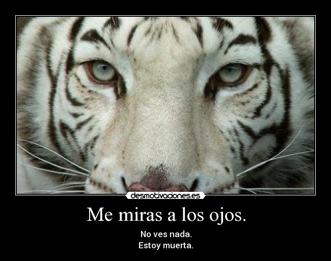 Me miras a los ojos. - 