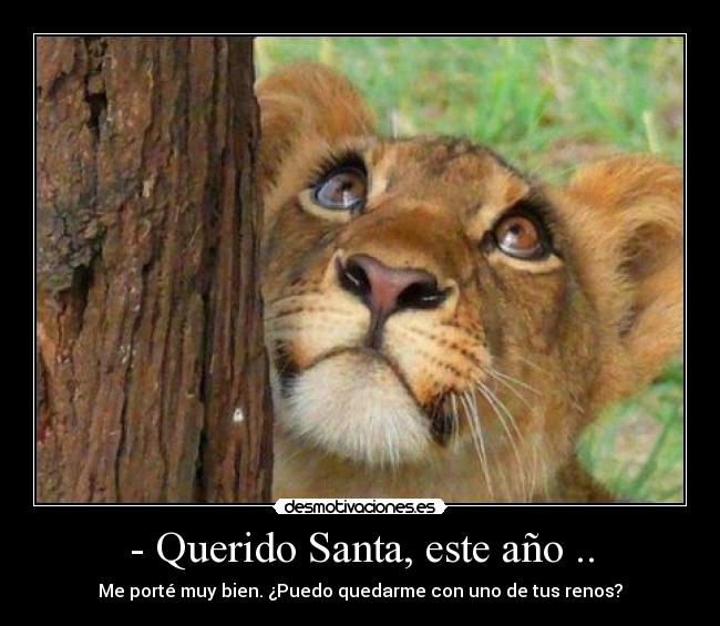 - Querido Santa, este año .. - Me porté muy bien. ¿Puedo quedarme con uno de tus renos?