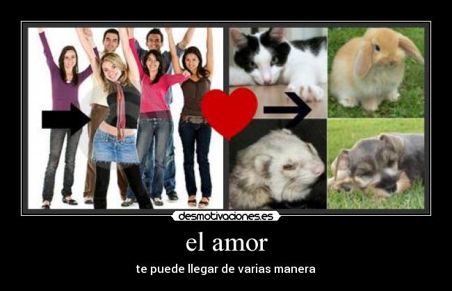 el amor - te puede llegar de varias manera