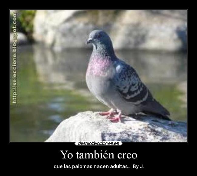 carteles sheyla desmotivaciones