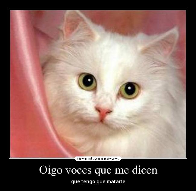 Oigo voces que me dicen - que tengo que matarte