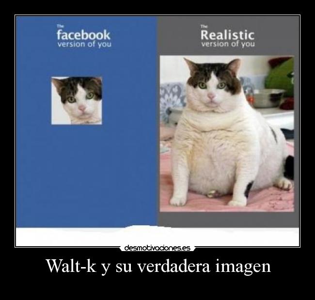 Walt-k y su verdadera imagen - 