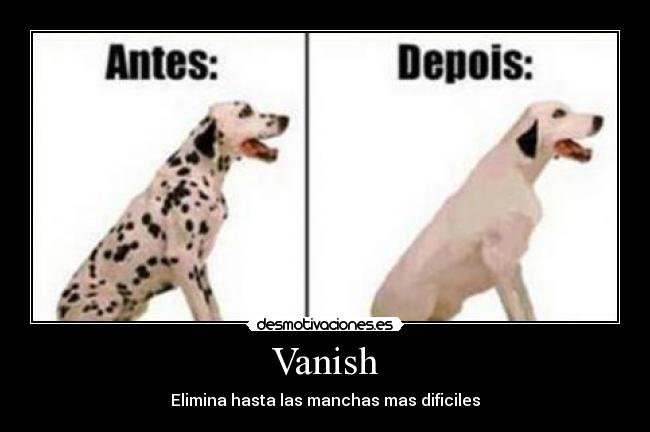 Vanish -