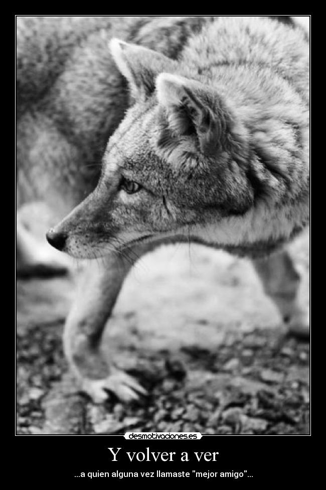 carteles dreadk confies nadie primera etiqueta seria que pongo desmotivaciones