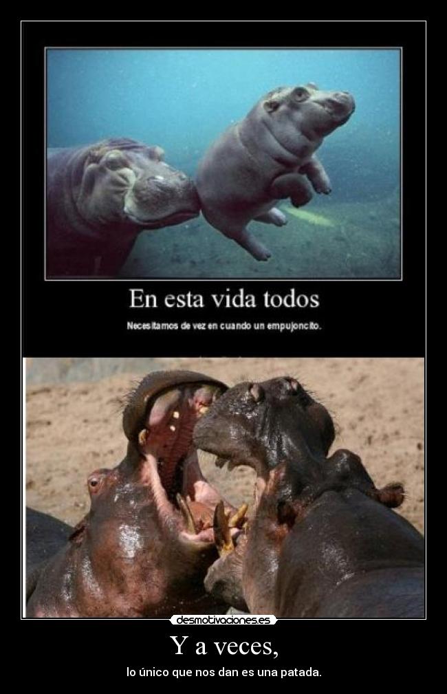 Y a veces, - lo único que nos dan es una patada.