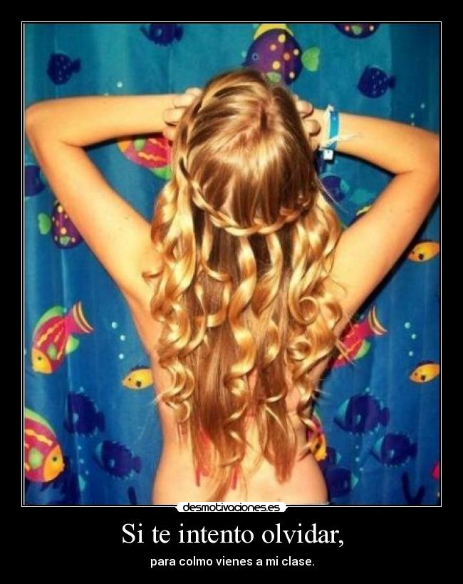 Si te intento olvidar, - 