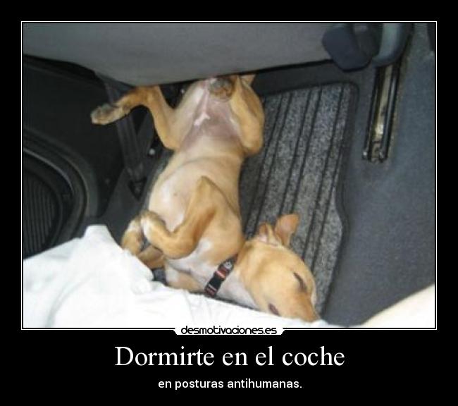 Dormirte en el coche - en posturas antihumanas.