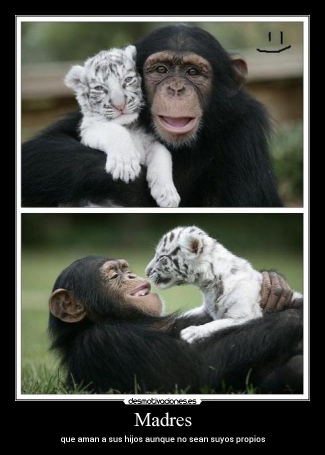 Madres - que aman a sus hijos aunque no sean suyos propios