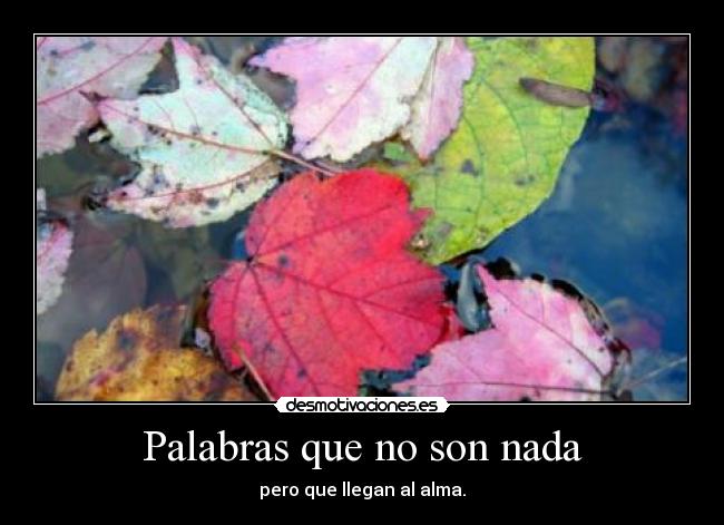 Palabras que no son nada - pero que llegan al alma.